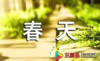 美术春天来了教学反思