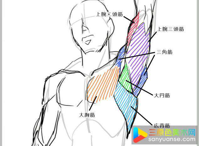 绘画初学者画手臂的方法有哪些？