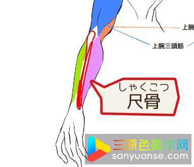 绘画初学者画手臂的方法有哪些？