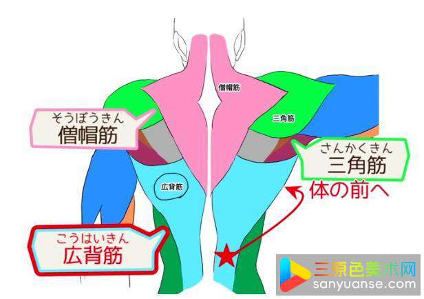 绘画初学者画手臂的方法有哪些？