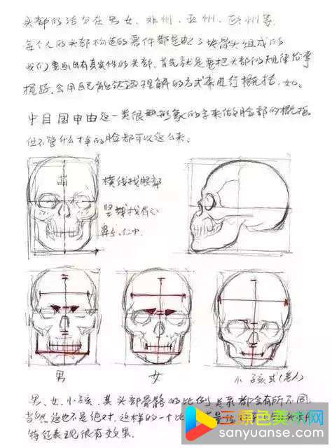 怎么画人体？人体基础训练有哪些重点？