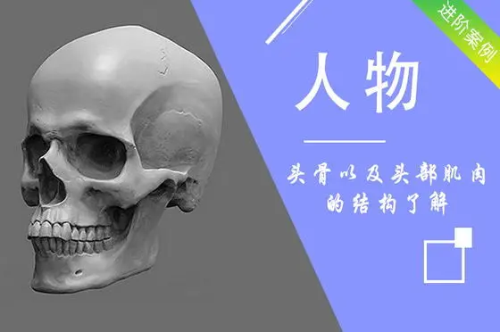 素描头像和静物素描的练习方法