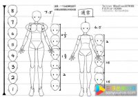 2-9頭身（女）的比例